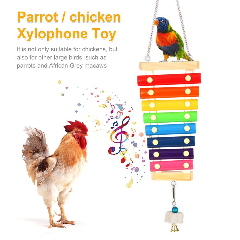 Mainan burung ayam xylofon kay - Musical Instrument Xylophone ulasan dan harga