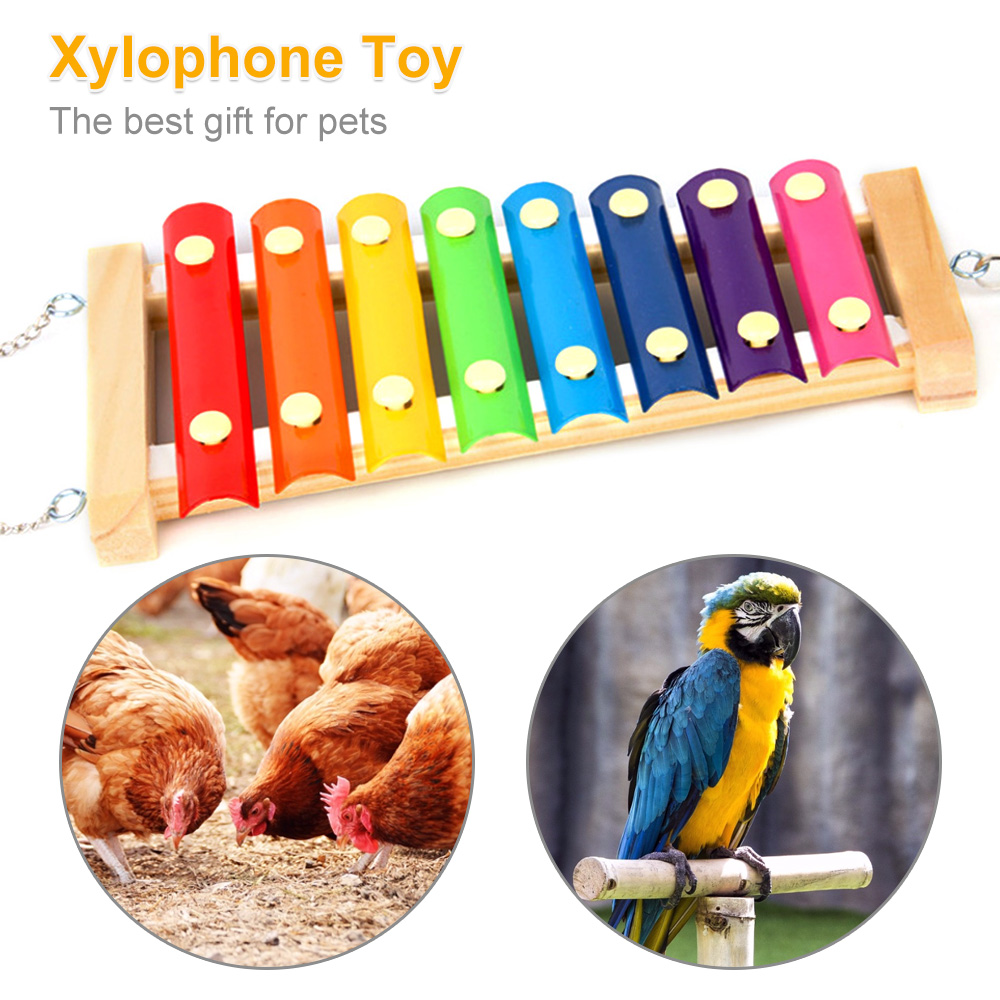 Mainan burung ayam xylofon kay - Musical Instrument Xylophone ulasan dan harga