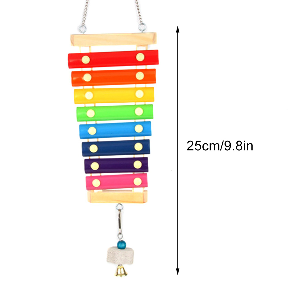 Mainan burung ayam xylofon kay - Musical Instrument Xylophone ulasan dan harga