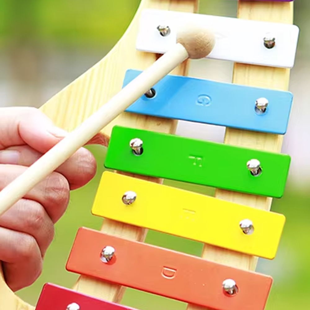 Alat Musik Xylophone Orff 8 Na - Musical Instrument Glockenspiel ulasan dan harga