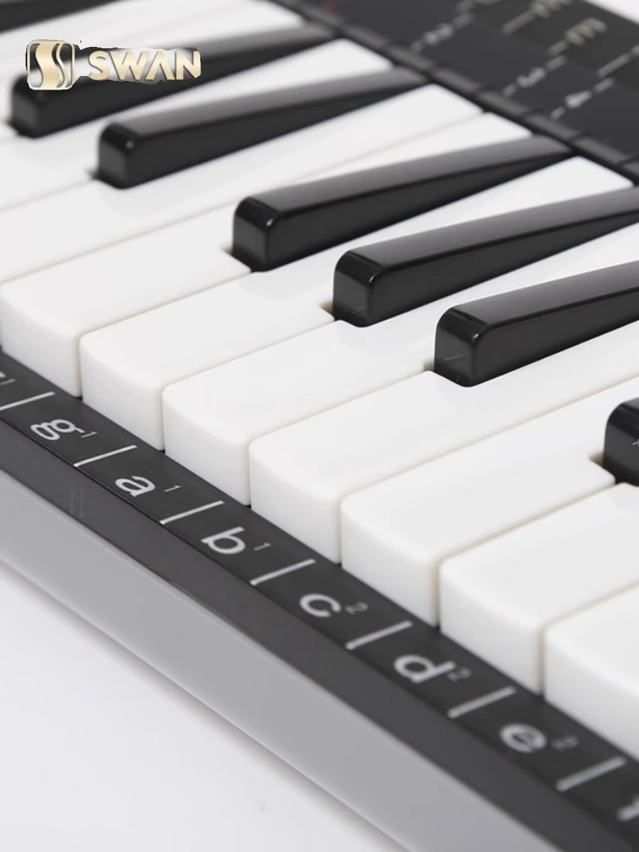 Set Melodika Profesional 37 Ku - Musical Instrument Kids ulasan dan harga